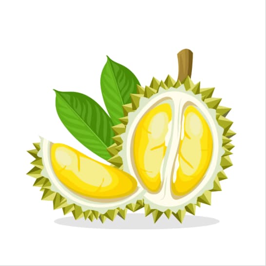 Durian