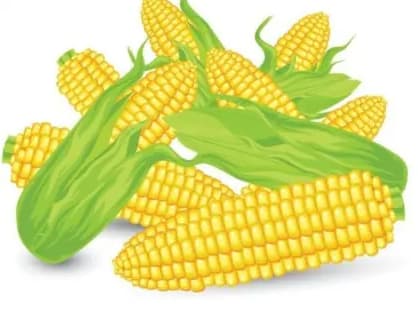 Jagung
